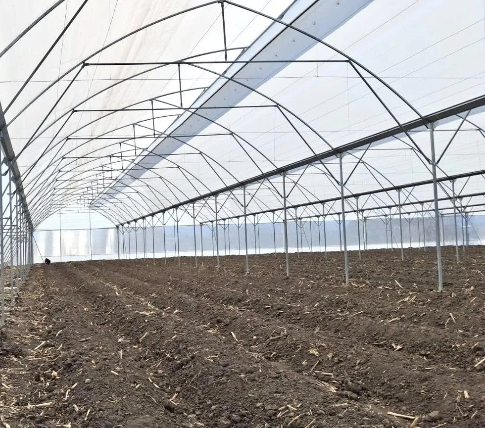 Estructura de invernadero en construcción