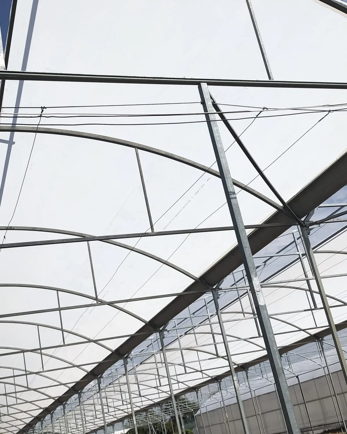 Rehabilitación de estructura de invernadero