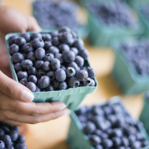 Organic fruit displayed on a farm stand. Blueberries in punnets.